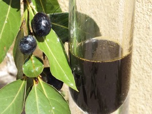 olio di alloro