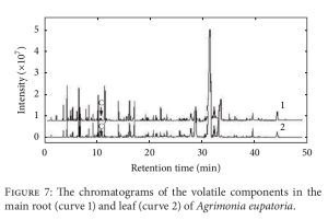 Agrimonia oe