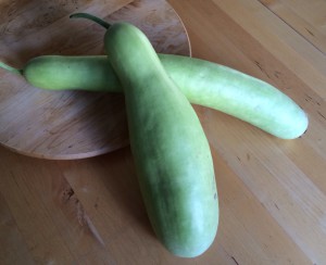 Le zucche di Mariano